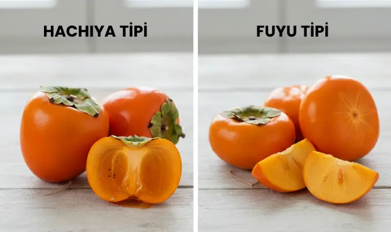 cennet hurması (trabzon hurması) faydaları, şifası, türleri, tatlı tarifi