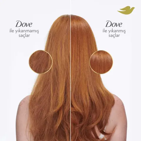 Dove Peptit Bond Repair Şampuan 375 mL